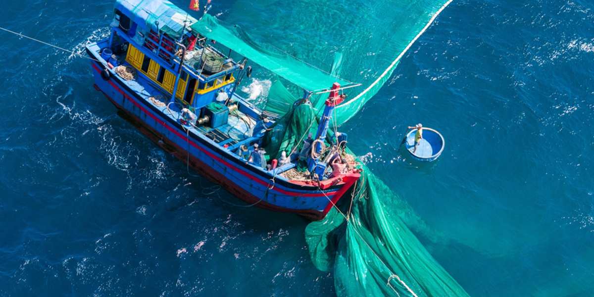 La Asombrosa Maquinaria de la Pesca