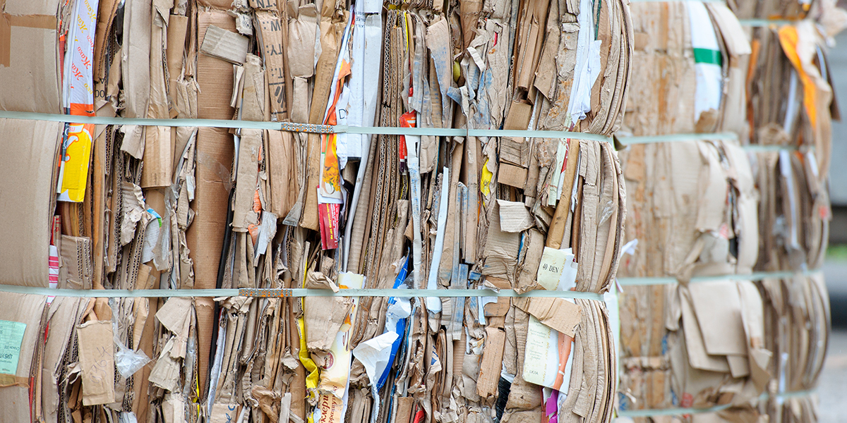 Proceso de Reciclado del Papel