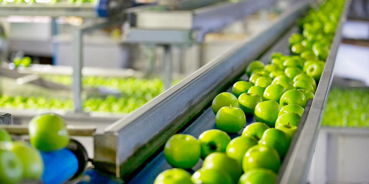 Los Lubricantes en la Industria Alimenticia