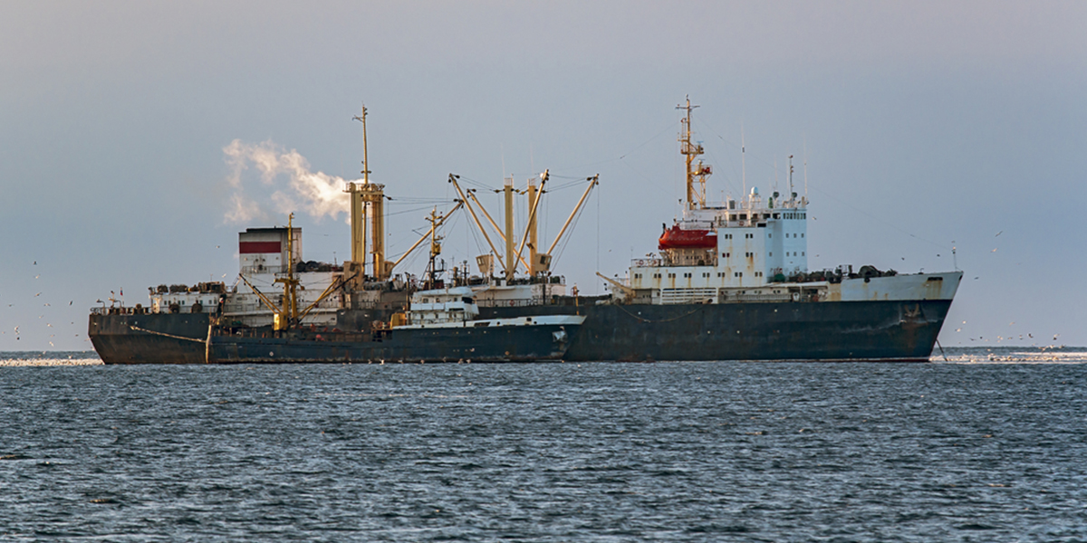 Fábricas Gigantes en los Barcos