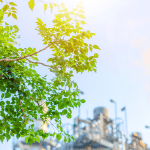 Reglamentos Medioambientales y Sostenibilidad en Maquinaria Industrial