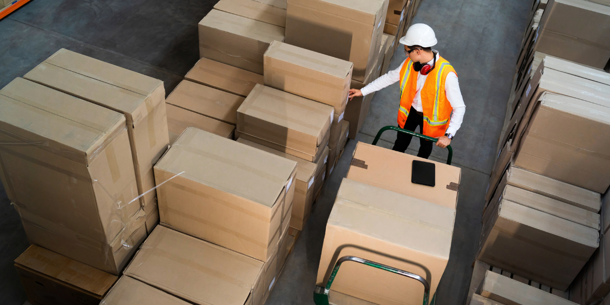 Optimización de los Procesos Logísticos en la Industria