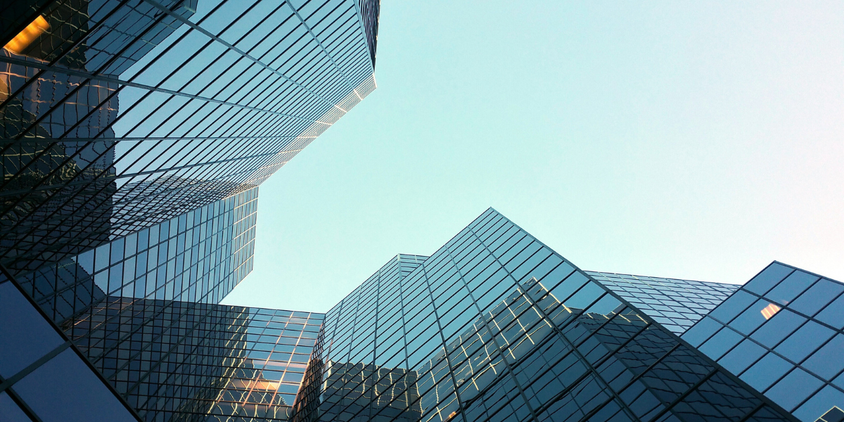 ¿Qué es la Economía Circular y cómo Adaptar una Empresa a este Modelo?